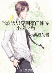 当软饭男穿到豪门甜宠小说之后封面