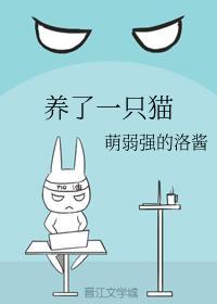 养了一只猫封面