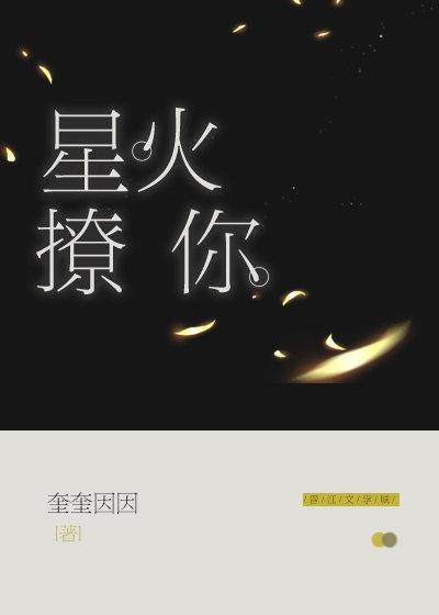 星火撩你封面