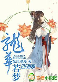龙华若梦封面