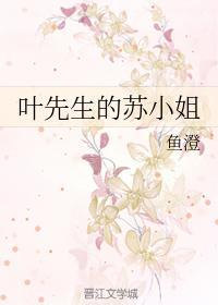 叶先生的苏小姐封面