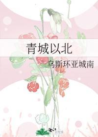 青城以北封面