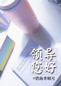 领导您好！GL封面