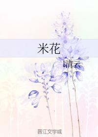 米花封面