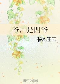 爷,是四爷封面