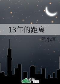 13年的距离封面