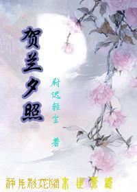 贺兰夕照封面