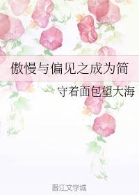 傲慢与偏见之成为简封面
