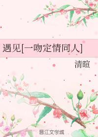 遇见[一吻定情同人]封面