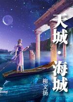 天城*海城封面
