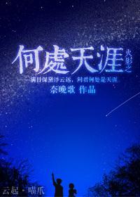 火影之何处天涯封面
