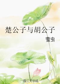 楚公子与胡公子封面