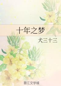 十年之梦封面
