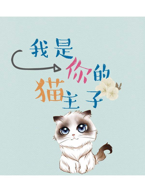 我是你的猫主子封面