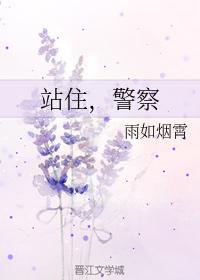站住，警察封面