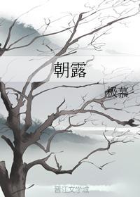 朝露封面