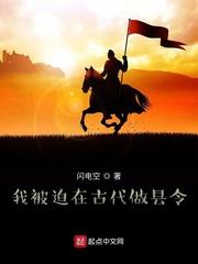 我被迫在古代做县令封面