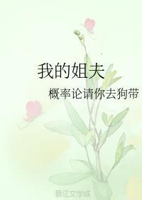 我的姐夫封面