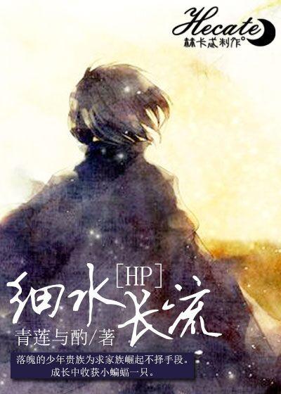 HP细水长流封面