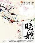 暖婿封面