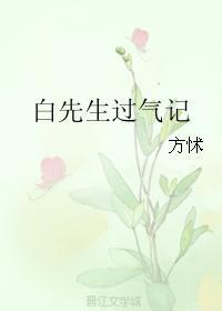 白先生过气记封面