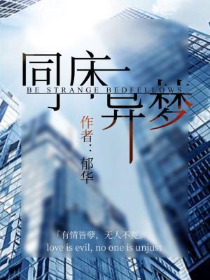 同床异梦封面