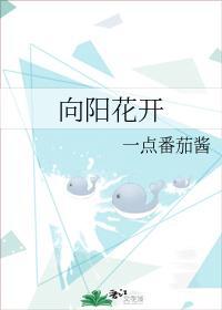 向阳花开封面
