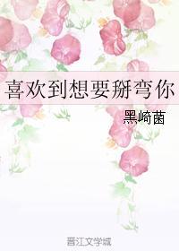 喜欢到想要掰弯你封面