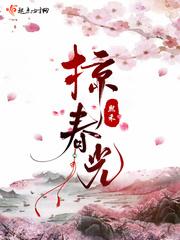 掠春光封面