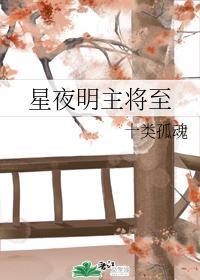 星夜明主将至封面