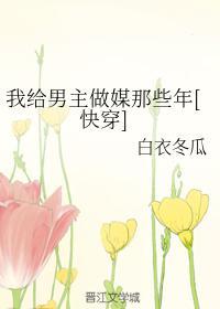 我给男主做媒那些年封面