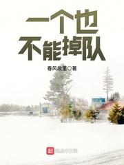 一个也不能掉队封面
