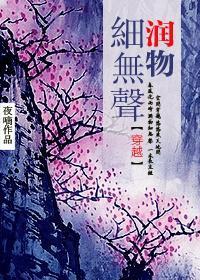 润物细无声(穿越)封面