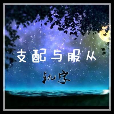 支配与服从封面