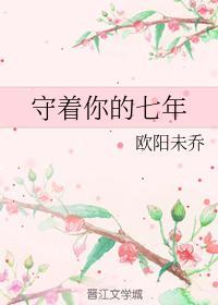 守着你的七年封面
