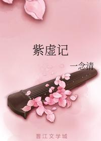 紫虚记封面