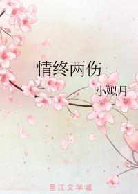 情终两伤封面