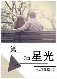 第二种星光封面