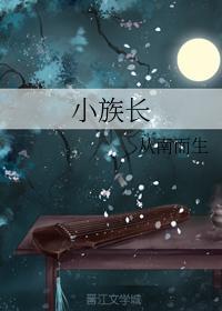 小族长封面