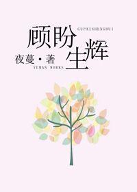 顾盼生辉（网络版）封面