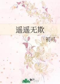 遥遥无欺封面
