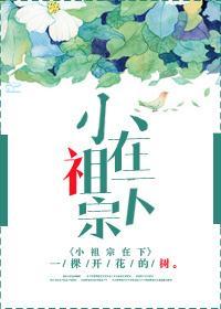 小祖宗在下封面