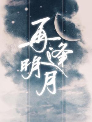 再逢明月封面