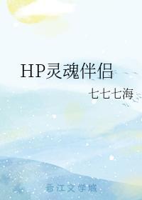 HP灵魂伴侣封面