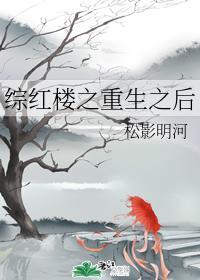 综红楼之重生之后封面