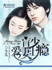 盲少爱妻上瘾封面