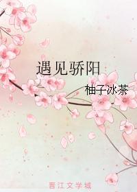 遇见骄阳封面