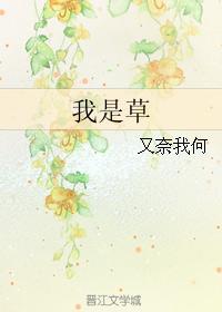 我草封面