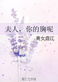 夫人，你的胸呢封面