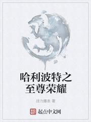 哈利波特之至尊荣耀封面